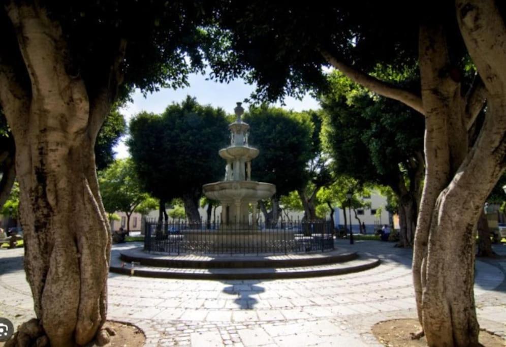 4 La Laguna, Centrico Y Acogedor 拉拉古纳 外观 照片